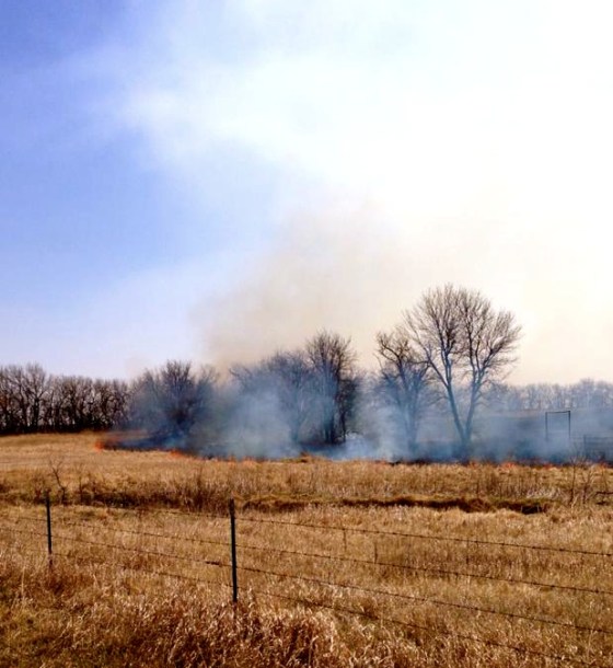 10149349_10202775365057017_1149840494_n