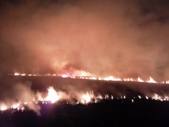 1896729_224595754397737_1630641228_n