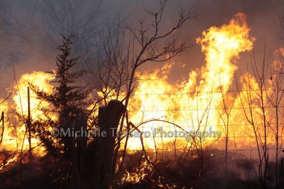 208198_10150150071110975_45430_n